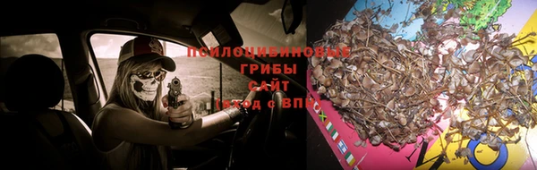 гашик Алзамай