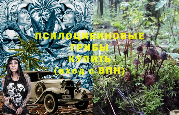 эйфоретик Арсеньев