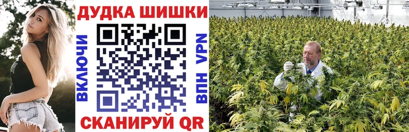 гидра ТОР  Коряжма  Конопля конопля 